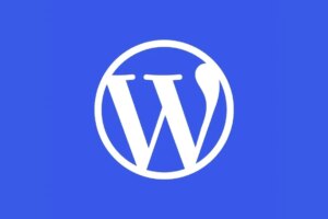 How to check the security of WordPress plugins?